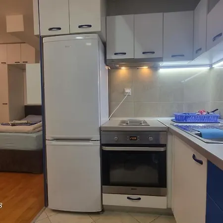 Apartment Veki's House *