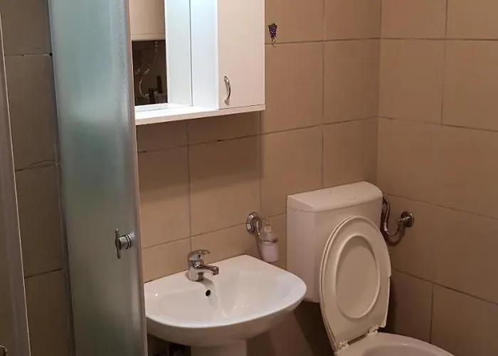 Veki's House Apartament *